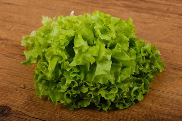 Fresh Salad leaves — Stock Photo, Image