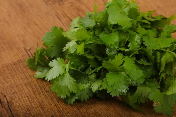 Hojas frescas de cilantro —  Fotos de Stock