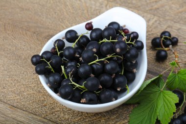 Siyah kuş üzümü yığın
