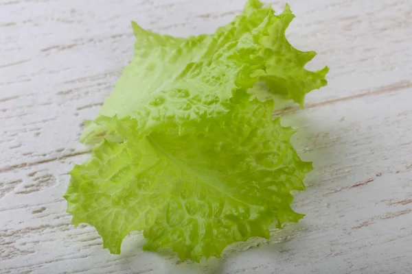 Taze salata yaprağı — Stok fotoğraf