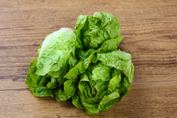 Frischer grüner Salat — Stockfoto