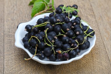 Siyah kuş üzümü yığın