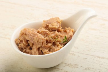 konserve ton balığı filetosu