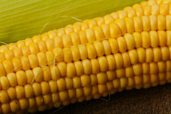 Sweet young Corn — Stock Photo, Image