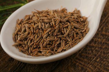 Kimyon tohumu kabın içinde 