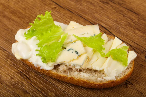 Sandwich cu brânză delicioasă — Fotografie, imagine de stoc