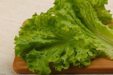 taze salata yaprakları