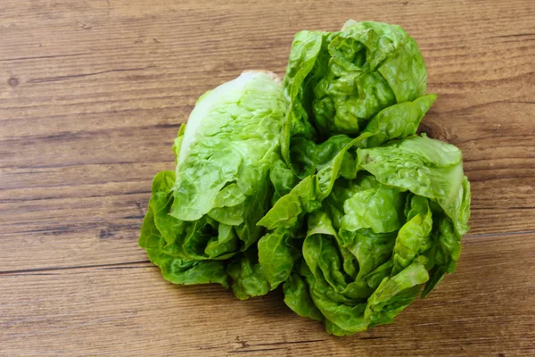 Frischer grüner Salat — Stockfoto