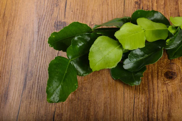 Kafir lime leaves — Stock Photo, Image