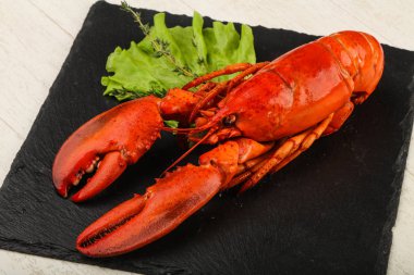 lezzetli haşlanmış ıstakoz