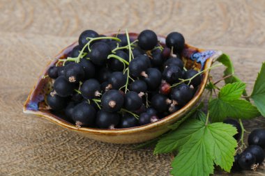 Siyah kuş üzümü yığın