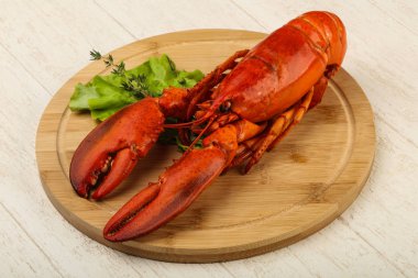 lezzetli haşlanmış ıstakoz