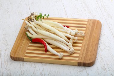 Japon mantar - enoki