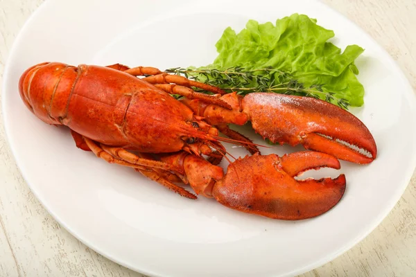 Delicious cuisine Lobster — Stock Photo, Image