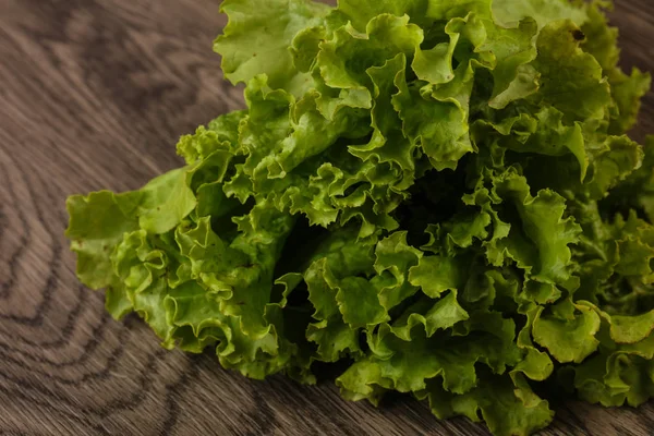 Feuilles de salade fraîches — Photo