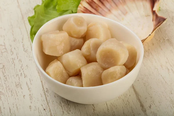 Raw scallops heap — Stock Photo, Image