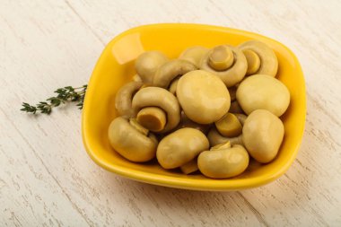 Kabın içinde Marine petrol