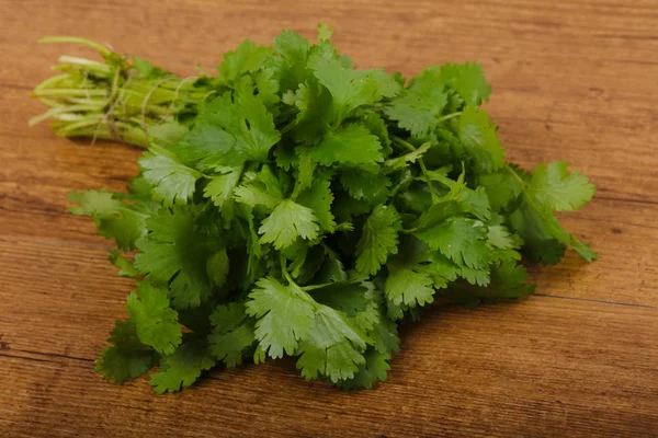 Hojas frescas de cilantro — Foto de Stock