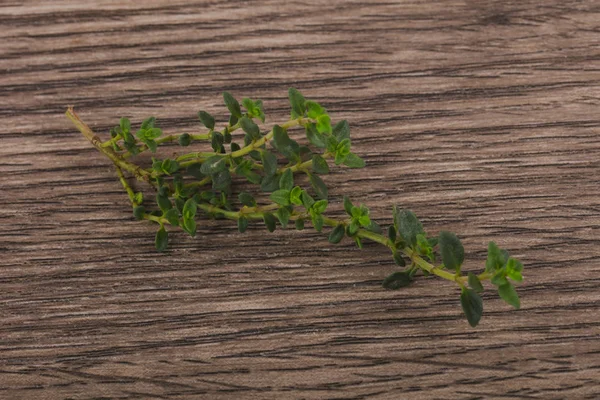 Grüner Thymianzweig — Stockfoto