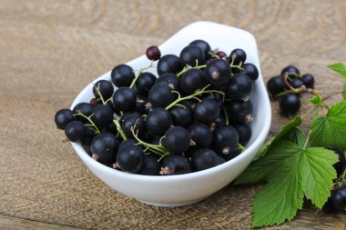 Siyah kuş üzümü yığın