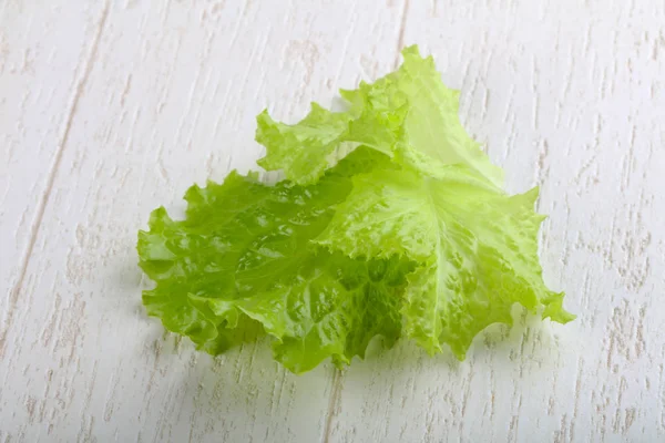 Fresh Salad leaves — Stock Photo, Image