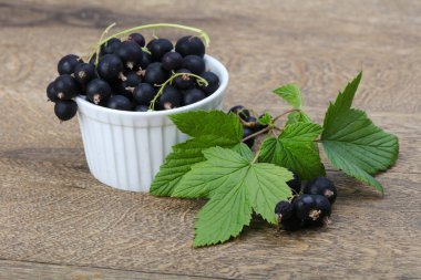 Siyah kuş üzümü yığın