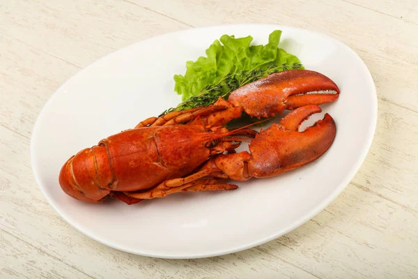 Delicious boiled Lobster — Stock Photo, Image