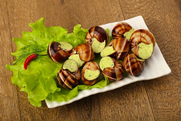 Delicioso Escargot com queijo — Fotografia de Stock