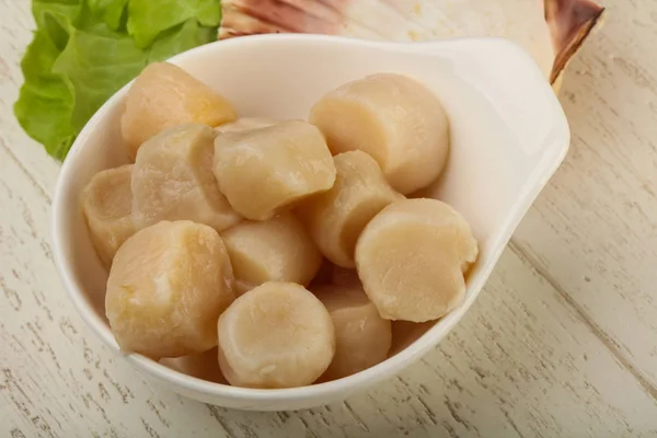 Raw scallops heap — Stock Photo, Image