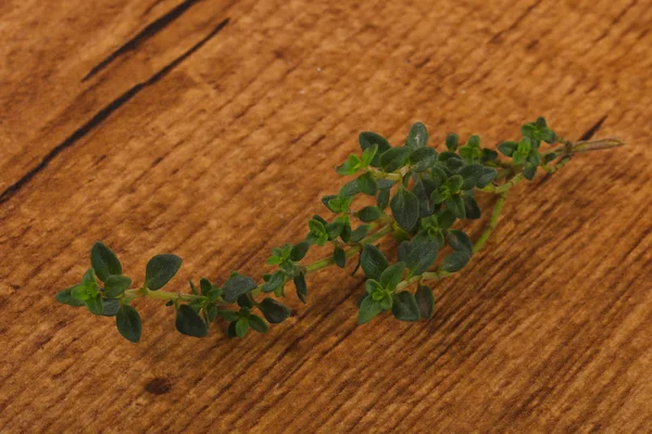 Green Thyme leaves — Stock Photo, Image