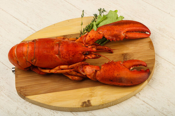 Delicious boiled Lobster