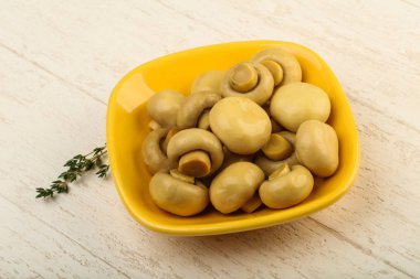 Kabın içinde Marine petrol