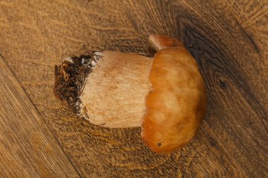 Boletus mantarı beyaz mantar