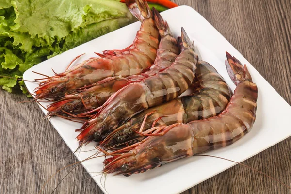 Raw big tiger prawns — Stock Photo, Image