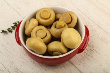 Kabın içinde Marine petrol