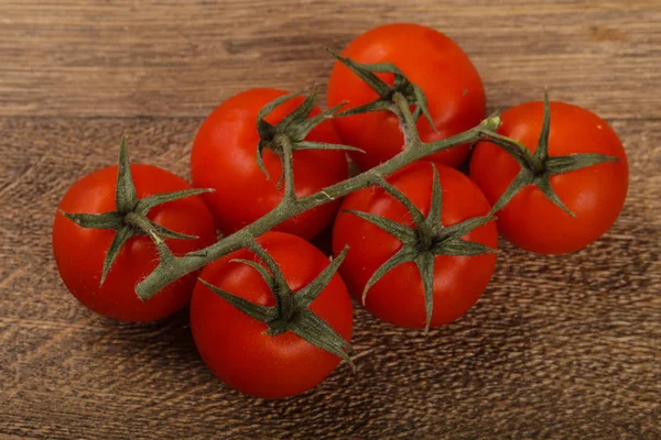 Reife Tomaten auf dem Zweig — Stockfoto