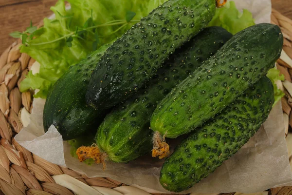 Ripe Green cucumbers — Stock Photo, Image