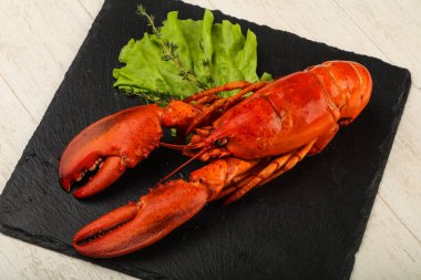 lezzetli haşlanmış ıstakoz