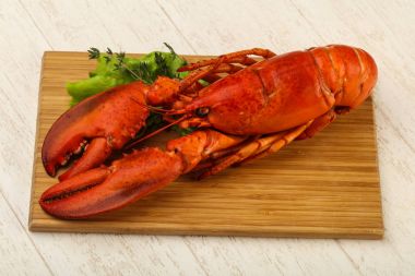 lezzetli haşlanmış ıstakoz