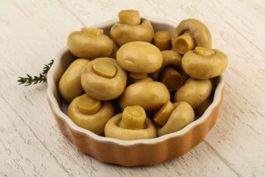 Kabın içinde Marine petrol