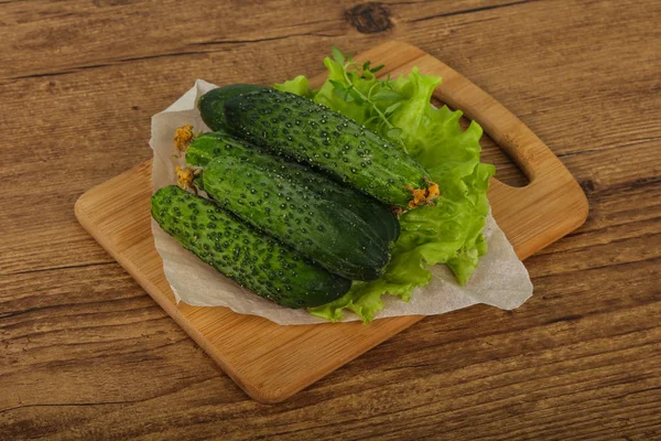Ripe Green cucumbers — Stock Photo, Image