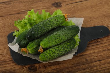 Olgun yeşil salatalık