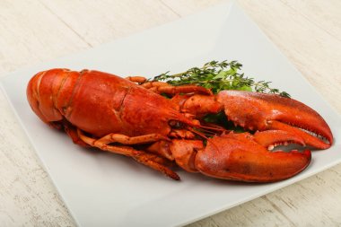 lezzetli haşlanmış ıstakoz