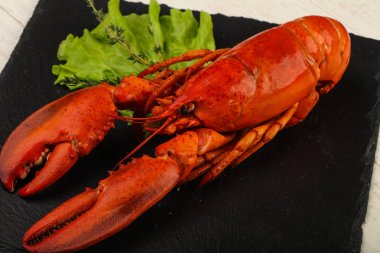 lezzetli haşlanmış ıstakoz