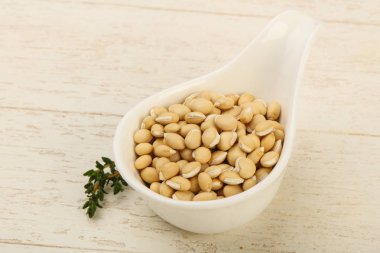 kabın içinde Dermason Fasulye 