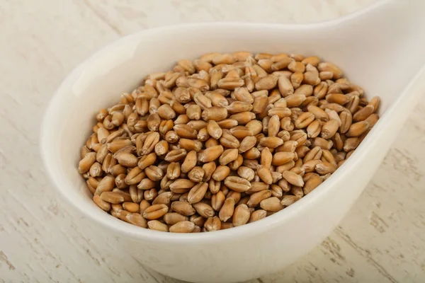Cereali di grano nella ciotola — Foto Stock