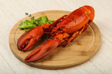 lezzetli haşlanmış ıstakoz