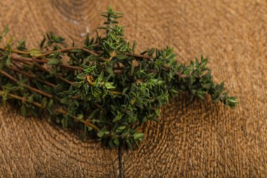 Taze yeşil kekik yığın