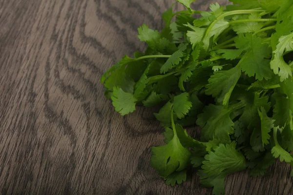 Fresh Coriander leaves