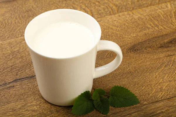 Natuurlijke zelfgemaakte Kefir — Stockfoto